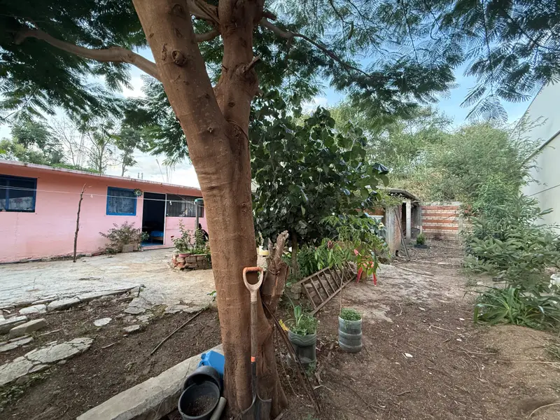 Foto 5 — Terreno en Granjas y Huertos de Brenamiel